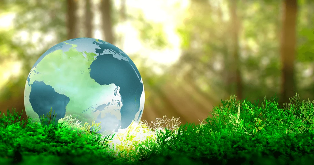 natureza reciclagem