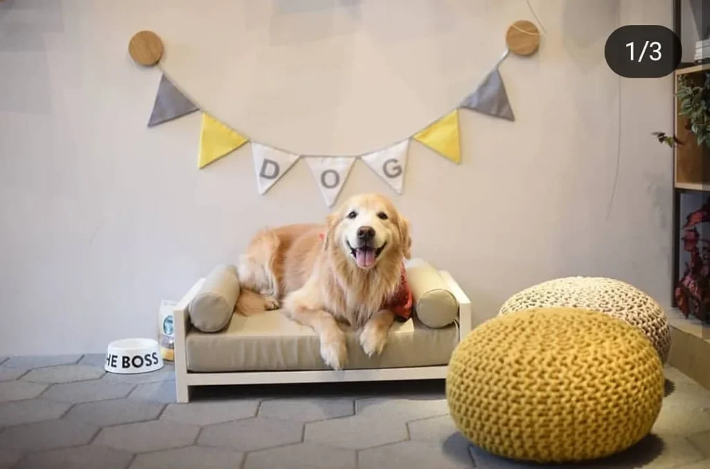 Quanto tempo pode durar pisos de borracha kasfloor